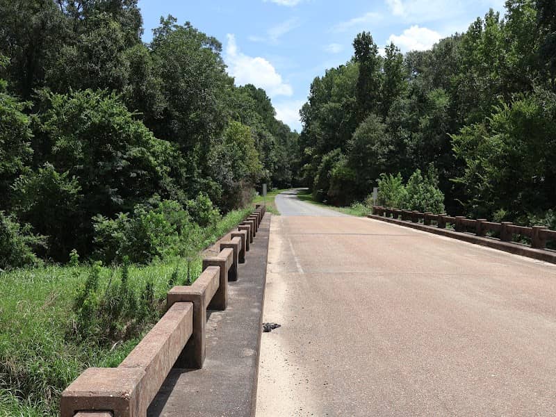 Coles Creek Bridge at Rodney Road - Image 2