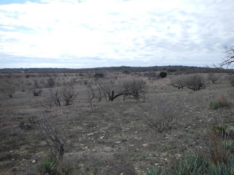 5G Land & Cattle - Image 1