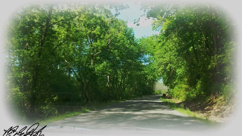 Scottsboro, AL - Image 1