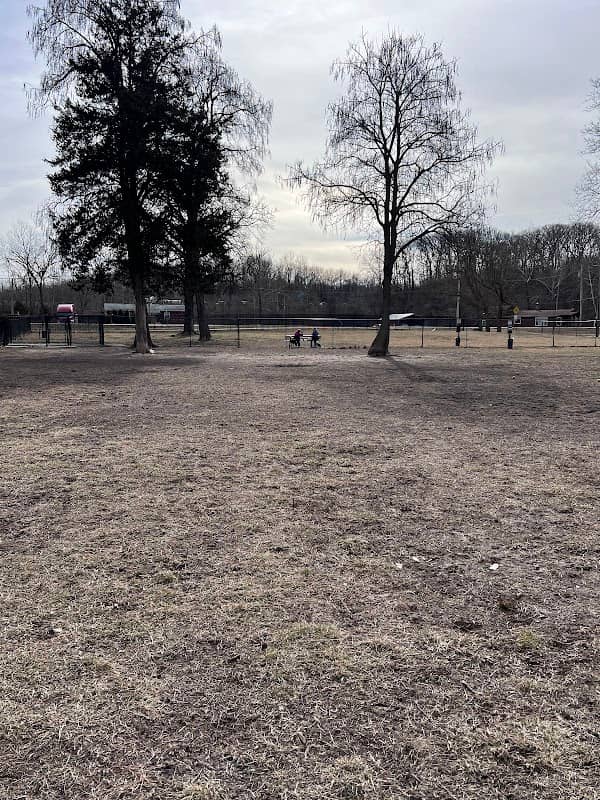 Ozark Dog Park - Image 1
