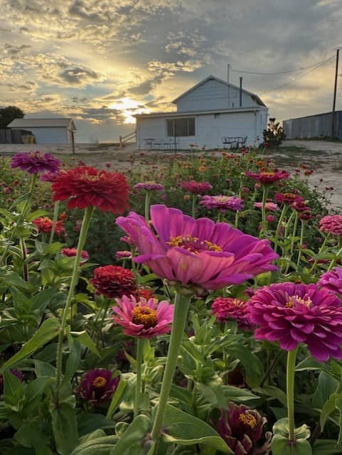 LoRiLy Bliss Hudson Flower Farm - Image 1