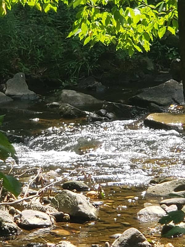 Sligo Creek North Neighborhood Park - Image 2