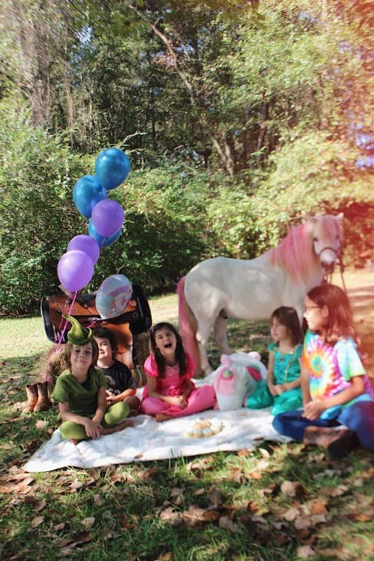 Gallop and Grow Pony Parties - Image 1