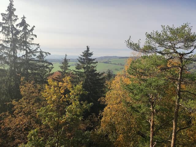 Breiter Stein - Image 1
