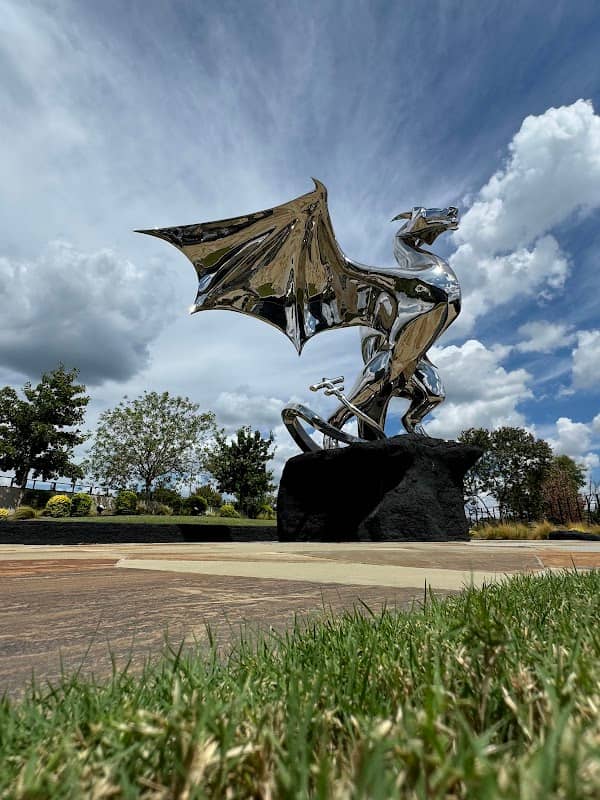 Fury The Dragon - Image 1
