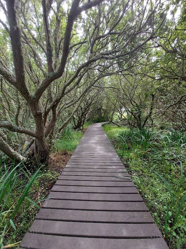Lower Moors - Image 1