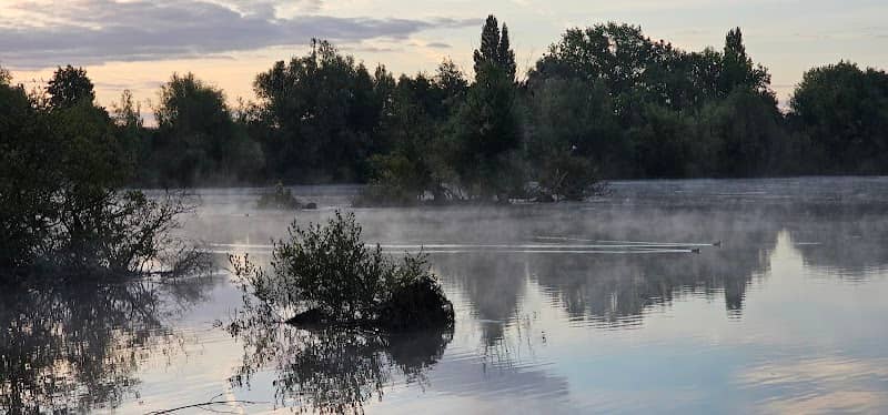 Leybourne Lake - Image 2