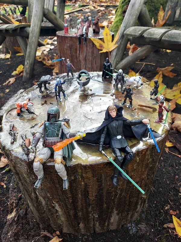 Yoda Grove - Image 2