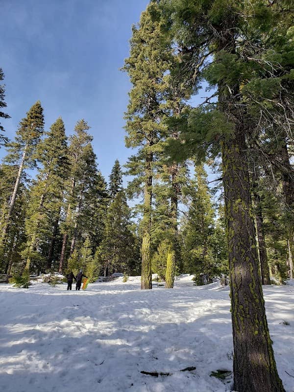 Snow Play - Image 1
