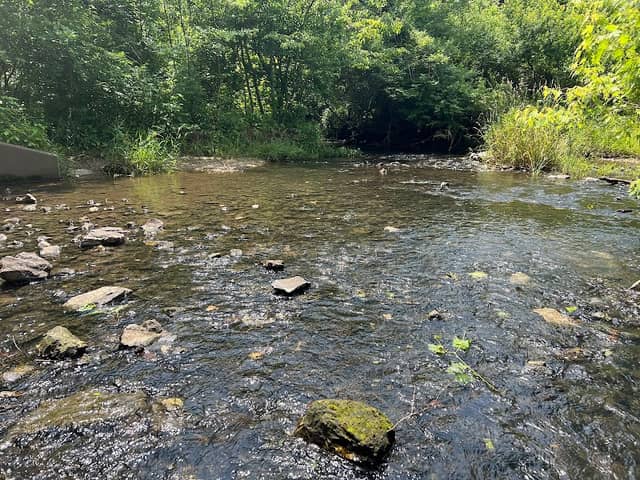 Clabber Creek Trail Corridor - Image 1