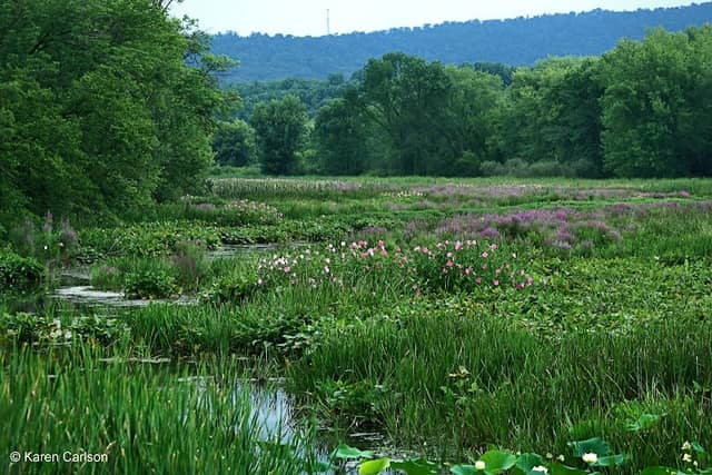 Wildwood Park - Image 1