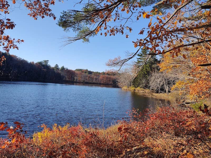 Androscoggin Woods - Image 1
