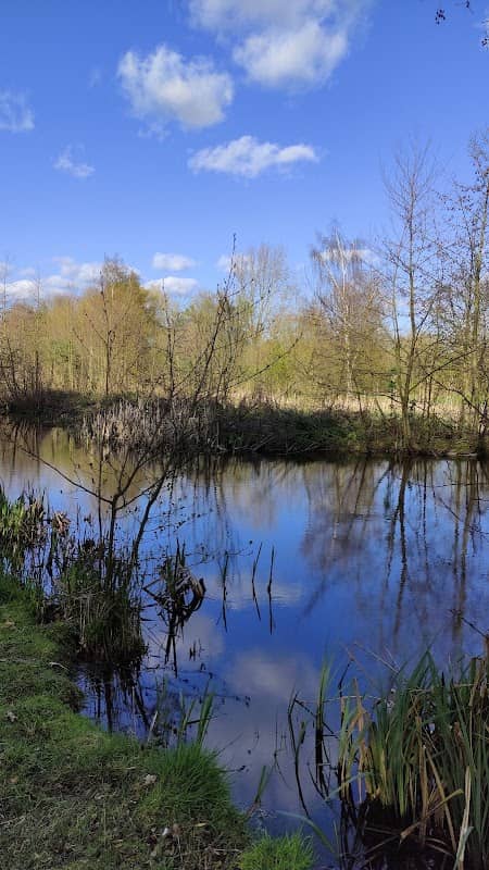Arnold's Meadow - Image 1