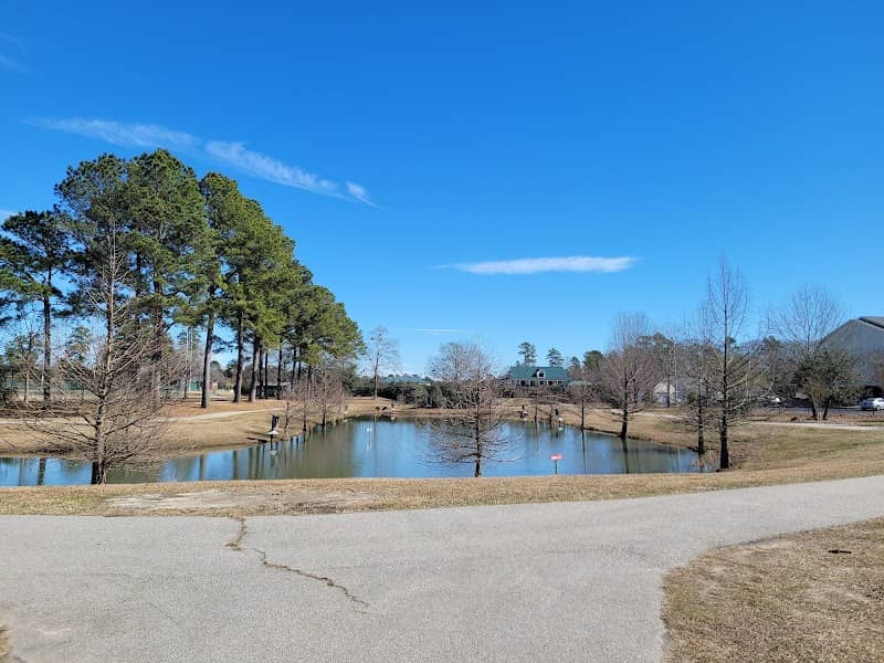 Palmetto Park - Image 3
