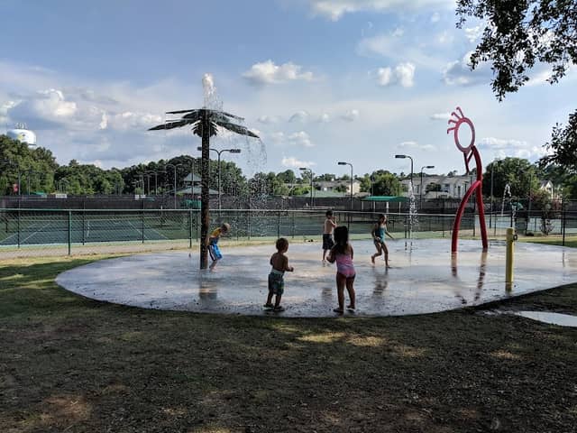 Palmetto Park - Image 1