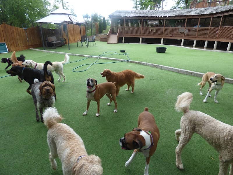 PRIVATE Cahaba Beach Dog Park - Image 2