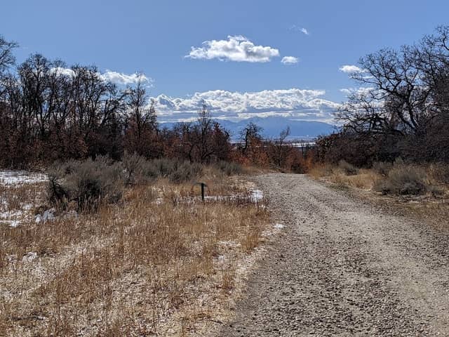 Wilderness Park Trail - Image 3