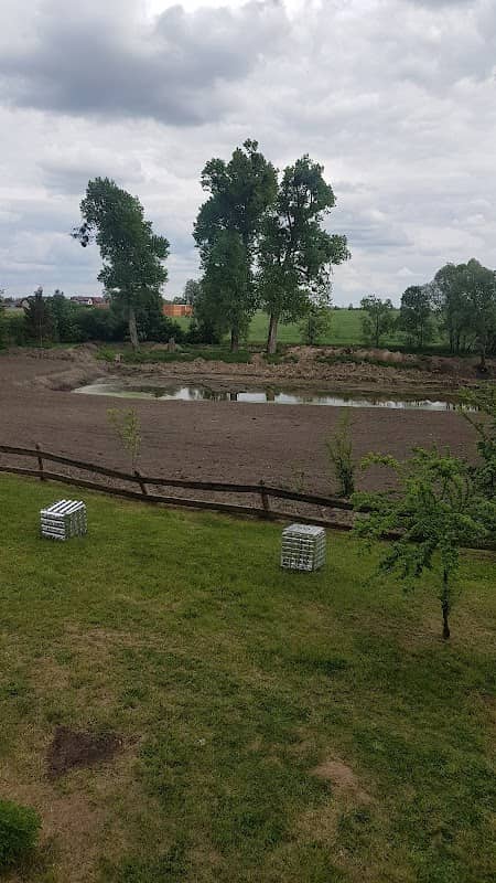 Park Pałacowy - Image 1