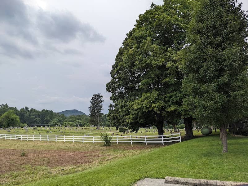 Ohio's Largest Buckeye Tree - Image 2