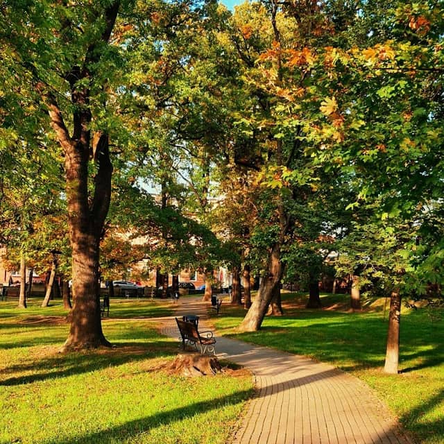 Park przy poczcie - Image 1