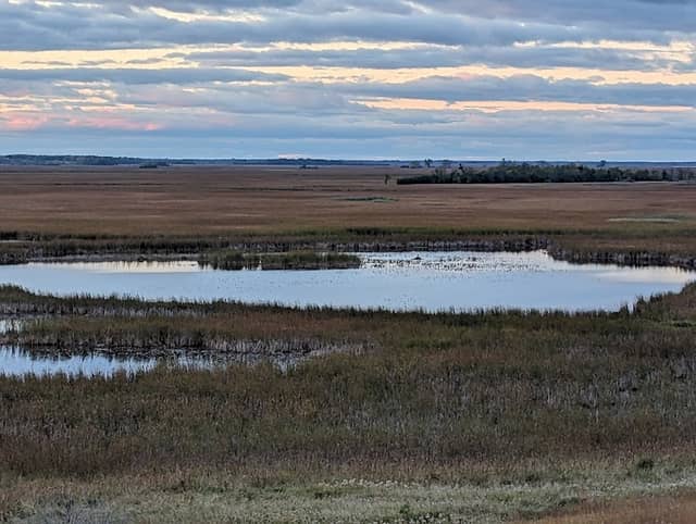 Horicon Marsh State Wildlife Area - Image 2