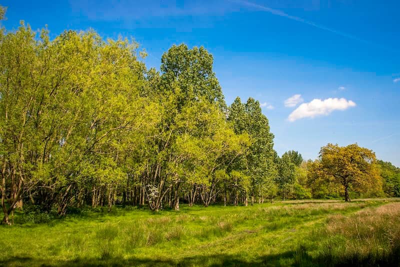 Hawley Meadows and Blackwater Park - Image 1