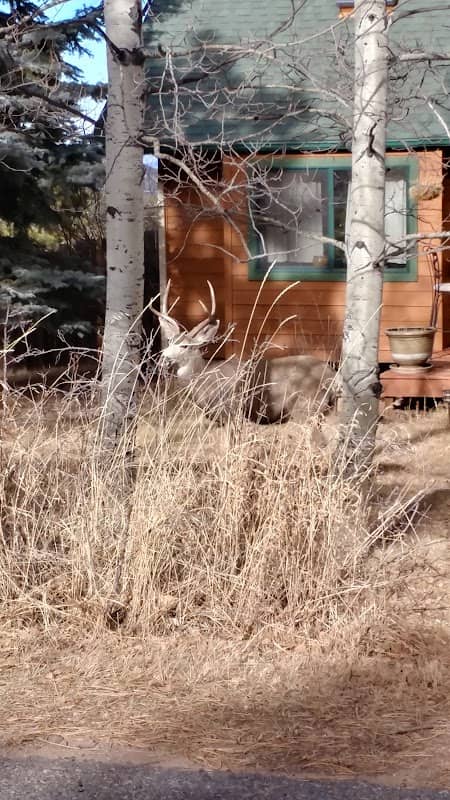 Red Mountain Adventure Park - Image 3