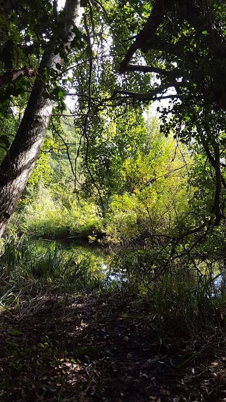 Willowmead - Image 1