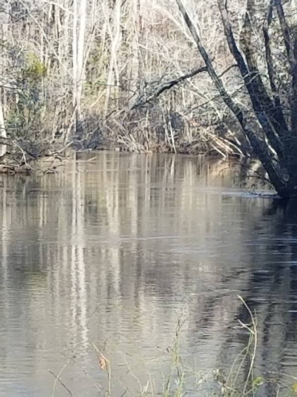 Carson Park - Image 1