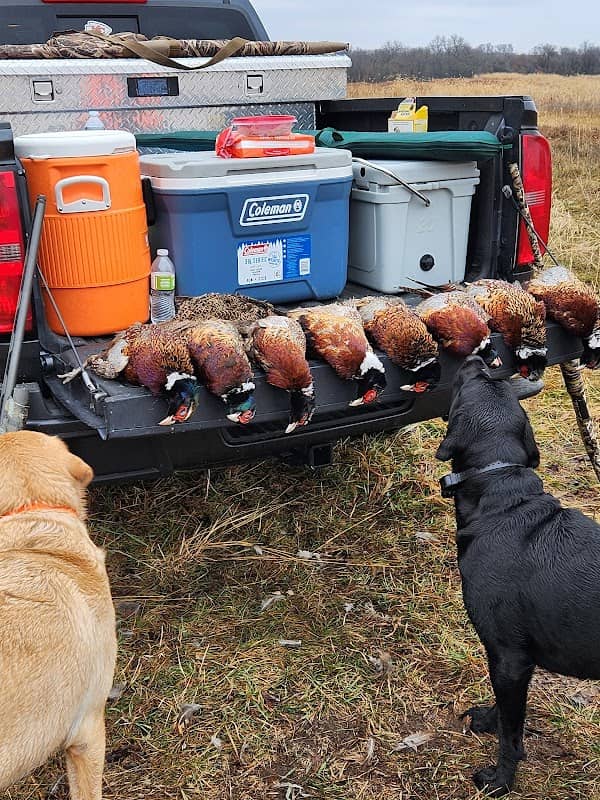 Harding Gamebirds - Image 2