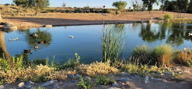 Las Maravillas Community Park - Image 3