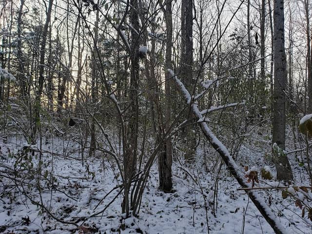 Crosley Fish and Wildlife Area - Image 3