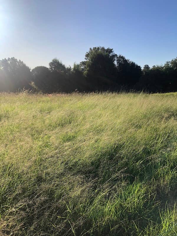 Hall Park - Image 1