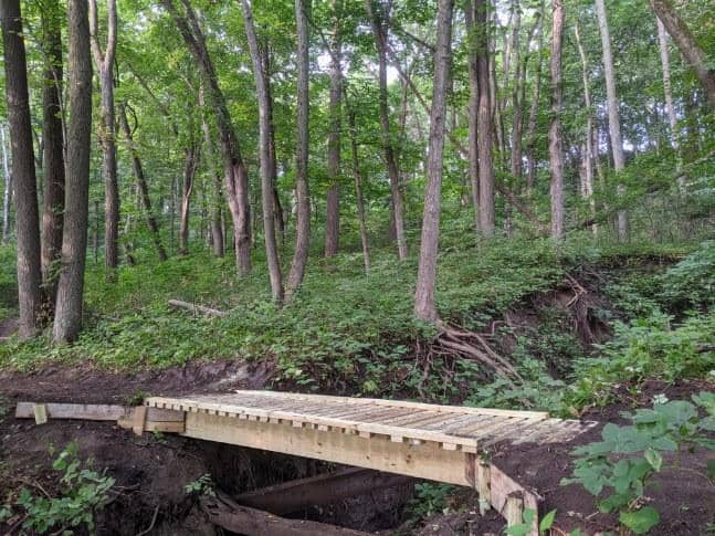 Lizard Creek Mountain Bike Trails - Image 1