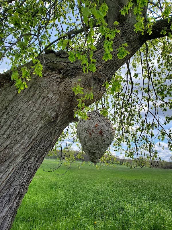 Genesee Valley Conservancy - Image 2