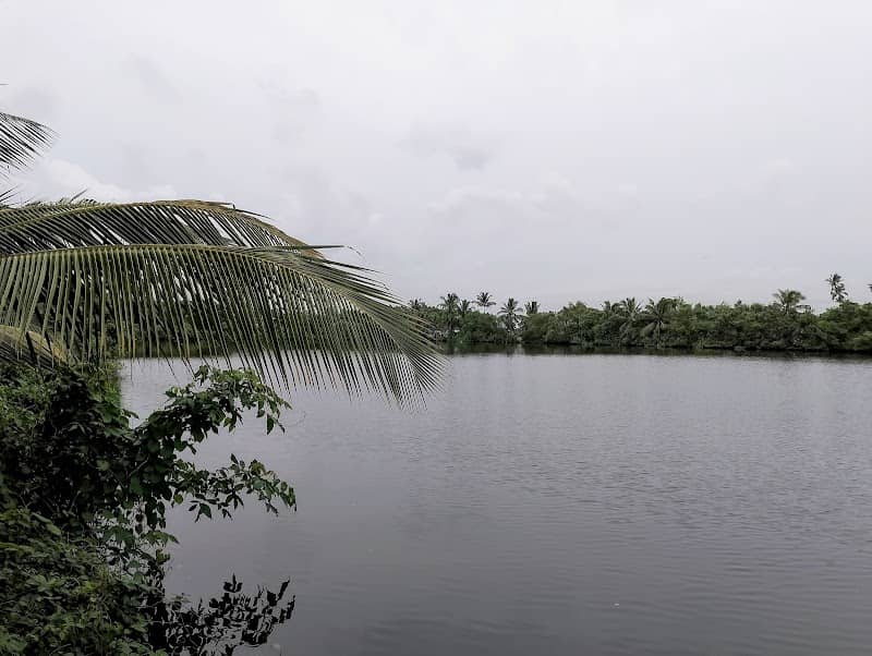 Kumbalanghi View Point - Image 1