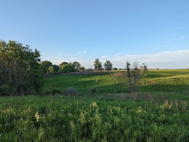 Samuel Barnum Mead Savanna Nature Preserve - Image 2