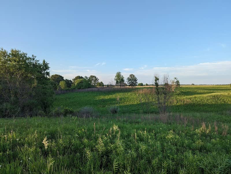 Samuel Barnum Mead Savanna Nature Preserve - Image 2