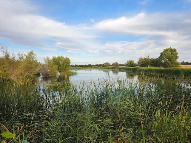 woodland park and preserve - Image 2