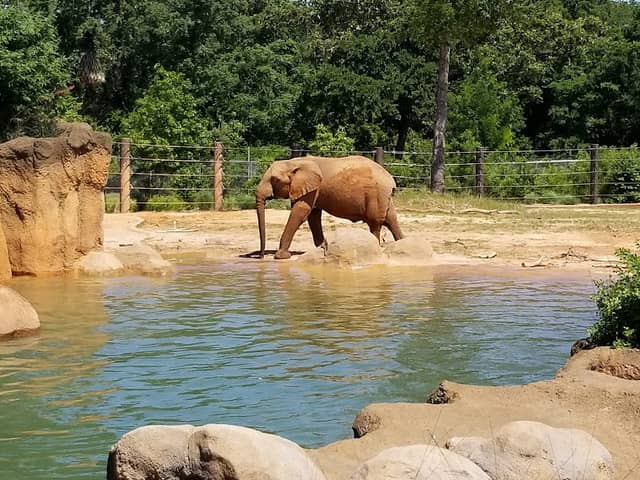 Caldwell Zoo - Image 1