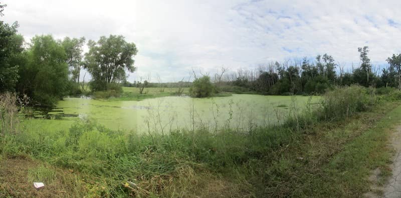 Waterfowl Observation Area - Image 2