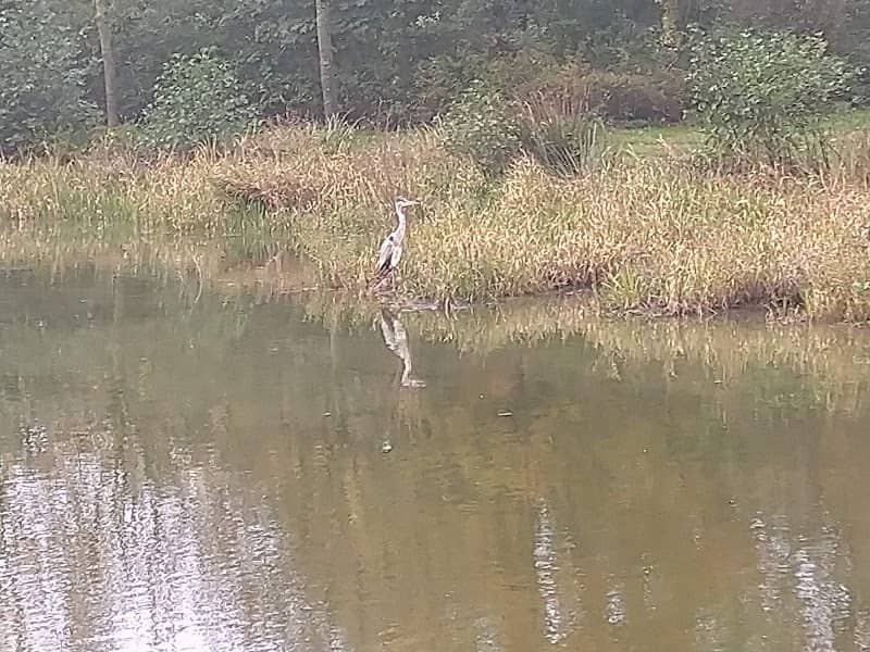 Wijkpark Hesselingen - Image 2