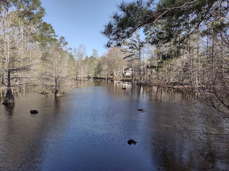 Abbey Nature Preserve - Image 2
