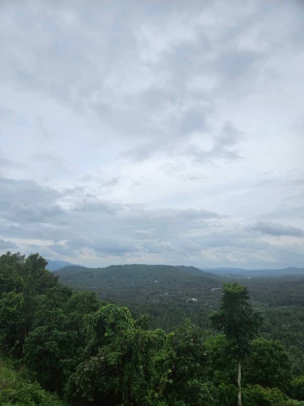 Elachola View point - Image 2