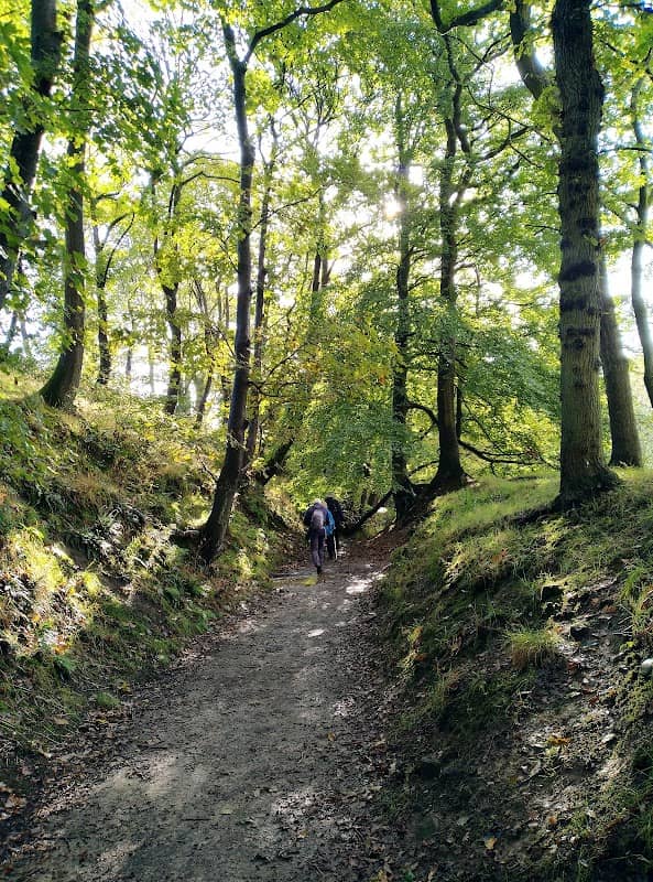 Duxbury Woods - Image 1