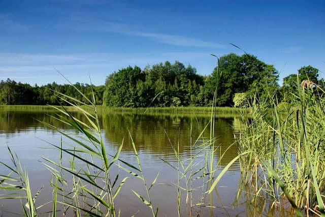 Upper Lusatian Heath and Pond Landscape Biosphere Reserve - Image 1