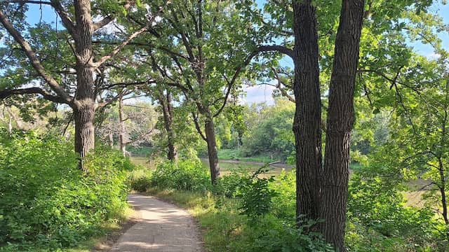 Forest River Park - Image 1