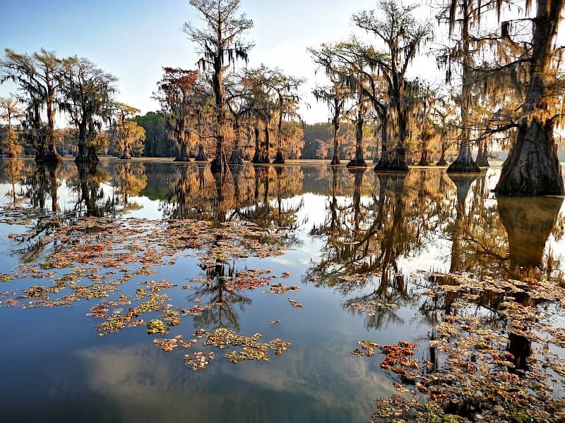 Caddo Lake - Image 2