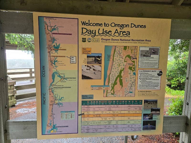 Oregon Dunes Day Use Area - Image 1