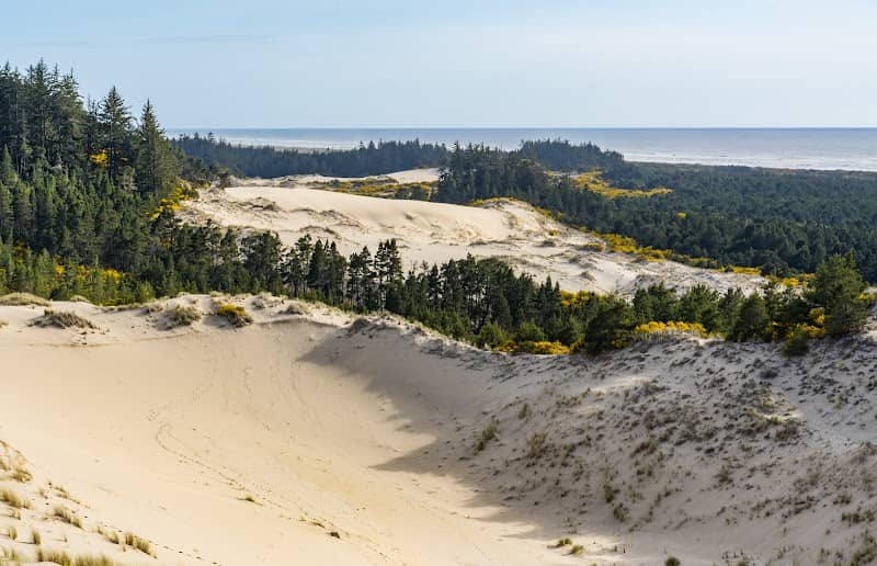 Oregon Dunes Day Use Area - Image 3
